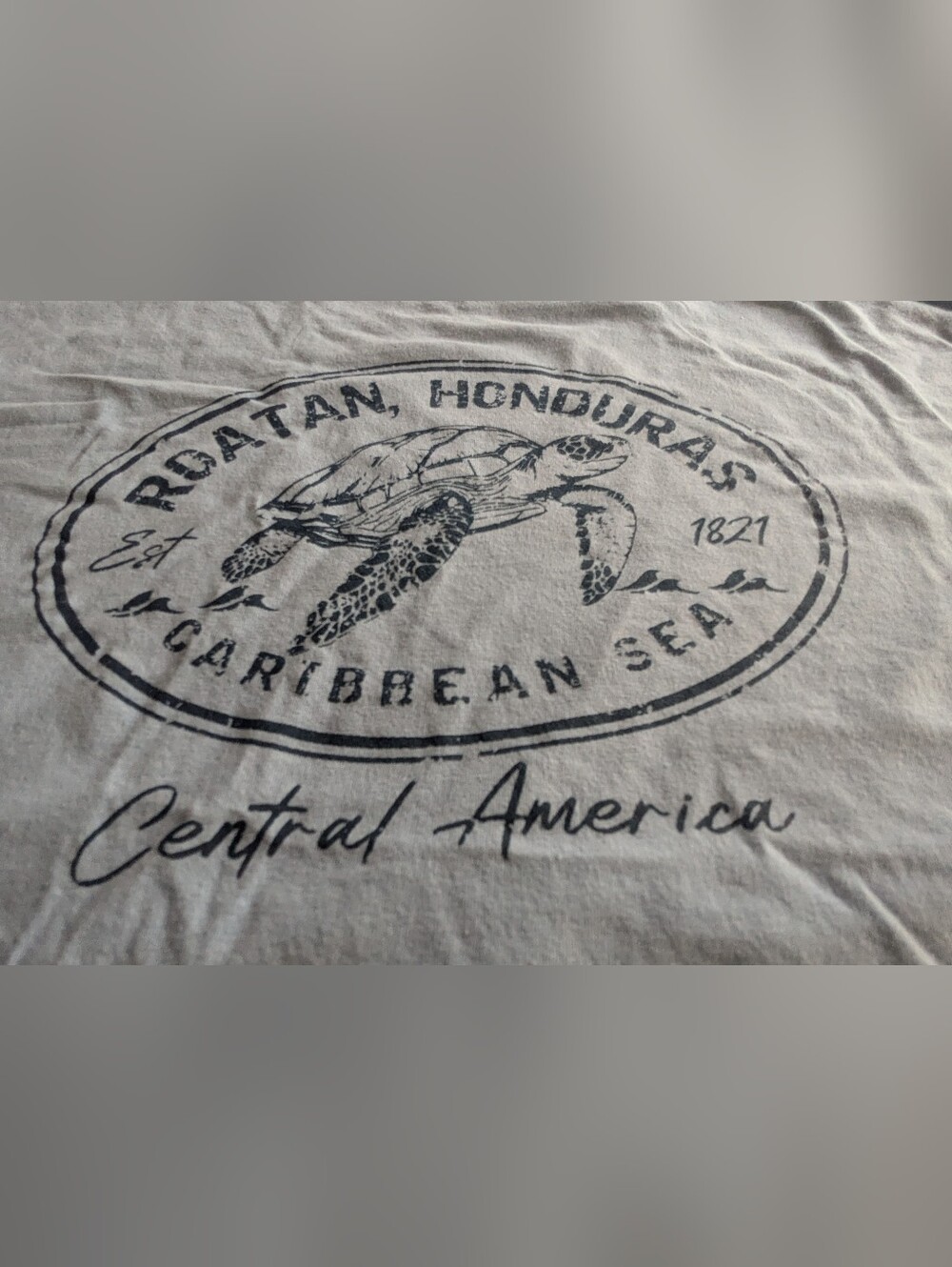 Rotan Honduras Sea Turtle Graphic Short Sleeve Tee - Light Blue